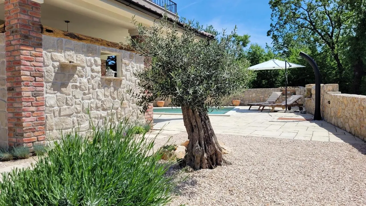 Villa Alara - Charming Villa With Heated Swimming Pool Milohnici
